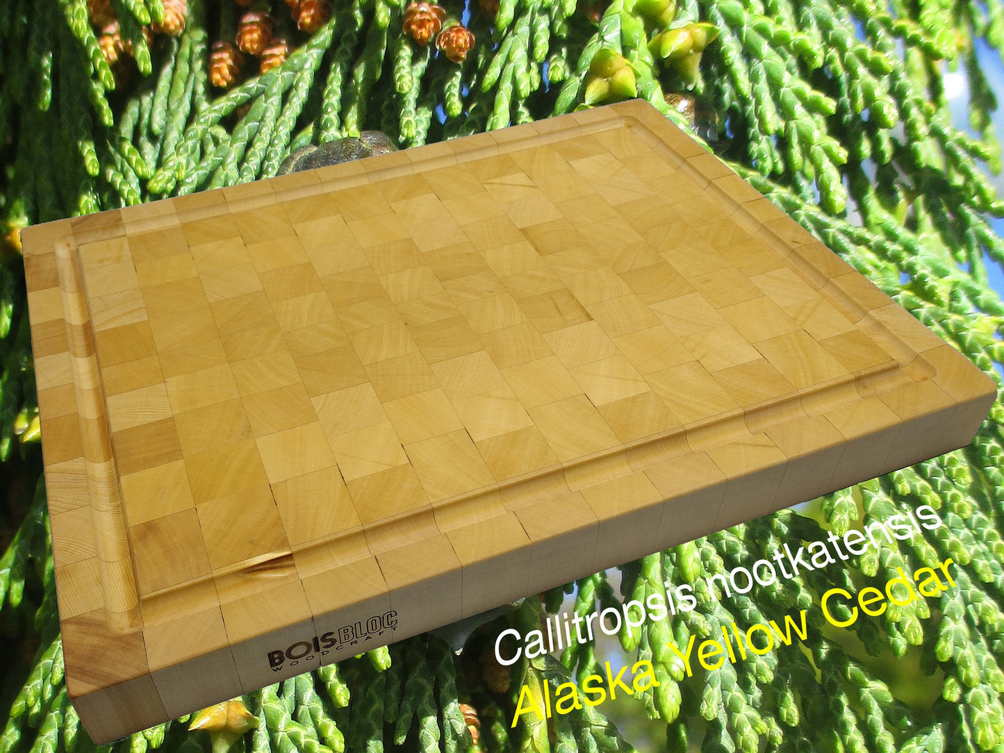 End Grain - Reversible 20"L x 15"W x 2.25"T Cutting/Carving/Chopping/Serving Board